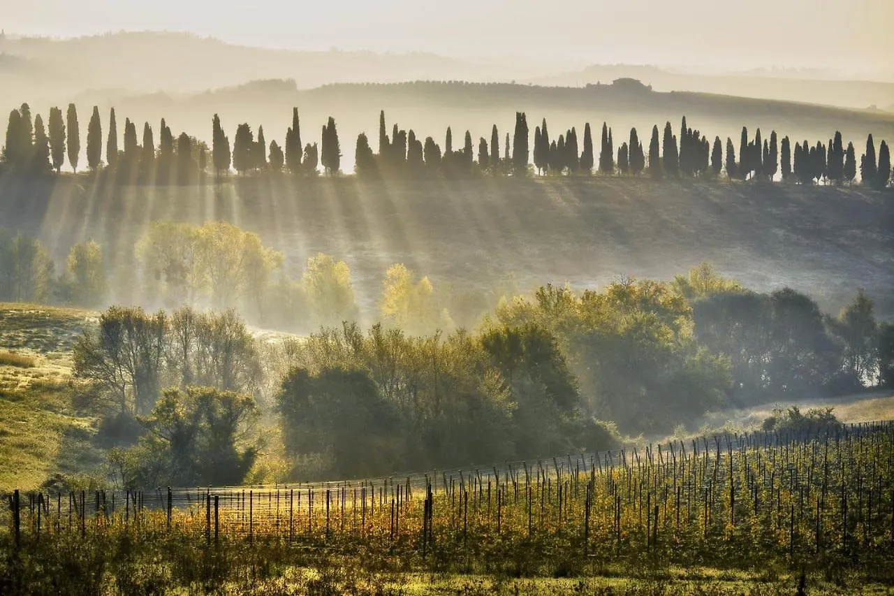 Poggio Baronti B&B Bagno A Ripoli Bed & Breakfast